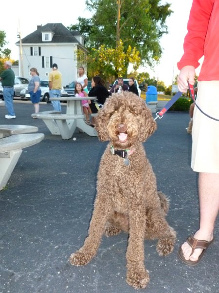 Fritz Sept 2013 (20)